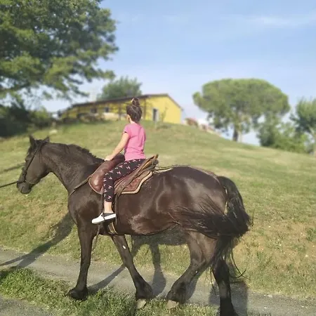 Matilde * Catabbio