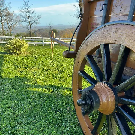 Casa de Férias Matilde Catabbio