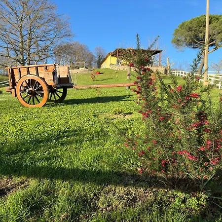 Matilde Ferienhaus Catabbio